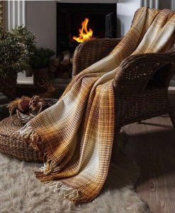 პლედი clasy